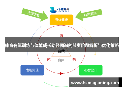 体育有氧训练与体能成长路径图谱的节奏阶段解析与优化策略