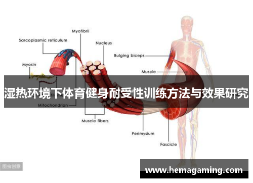 湿热环境下体育健身耐受性训练方法与效果研究