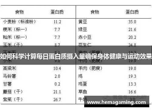 如何科学计算每日蛋白质摄入量确保身体健康与运动效果