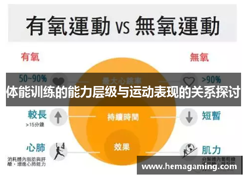 体能训练的能力层级与运动表现的关系探讨